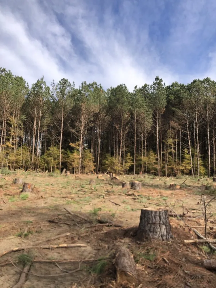 Custom residential landscaping experts serving Hope Mills, NC - Locklears lot Clearing