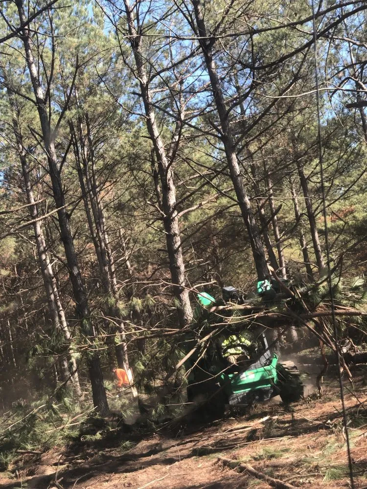 Trusted residential landscaping for residential properties across Hope Mills, NC - Locklears lot Clearing