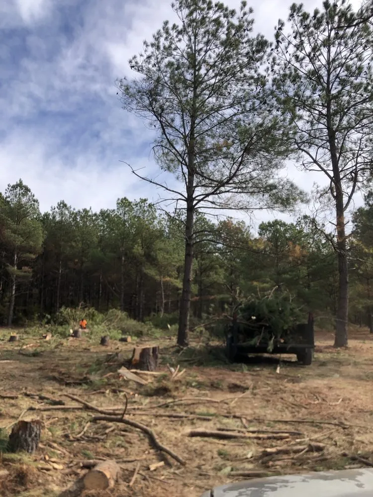 Expert lawn mowing service for homes in Hope Mills, NC by Locklears lot Clearing