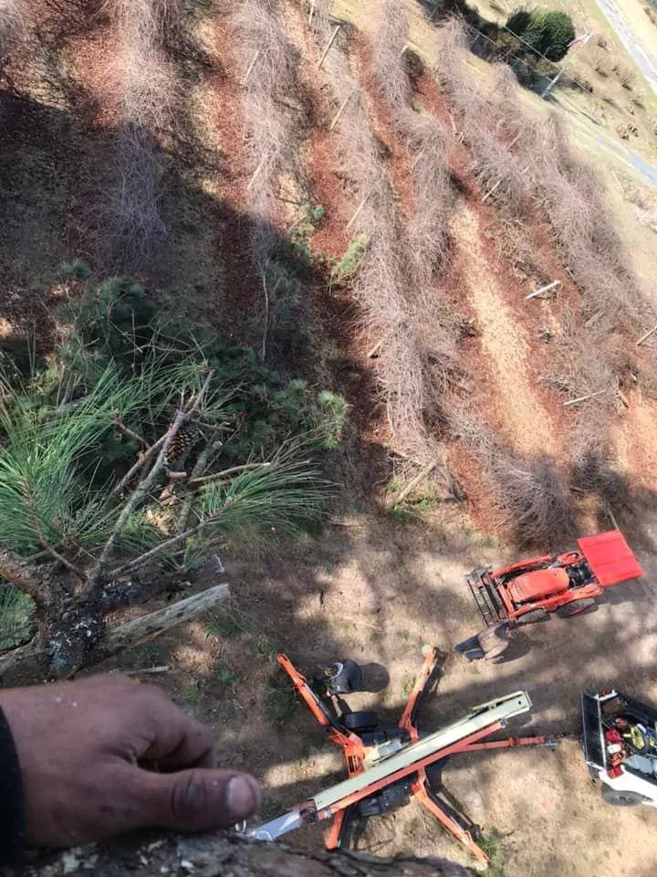 Custom landscape design in Hope Mills, NC by Locklears lot Clearing