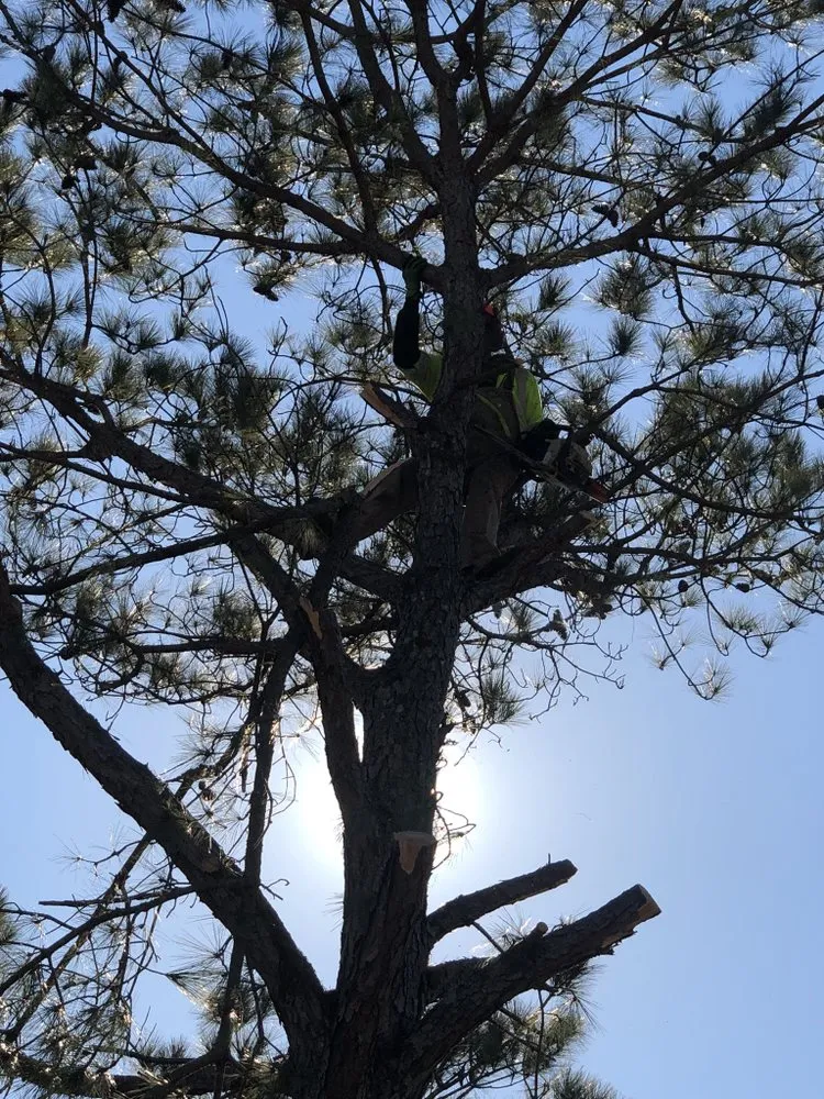 Affordable garden landscaping for beautiful yards across Hope Mills, NC - Locklears lot Clearing