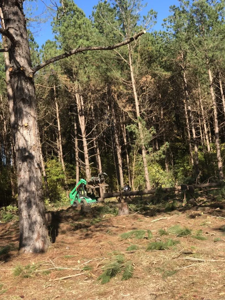 Top-rated garden landscaping in Hope Mills, NC - Locklears lot Clearing