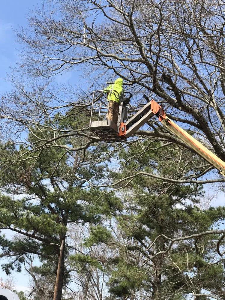 Expert yard maintenance experts serving Hope Mills, NC - Locklears lot Clearing