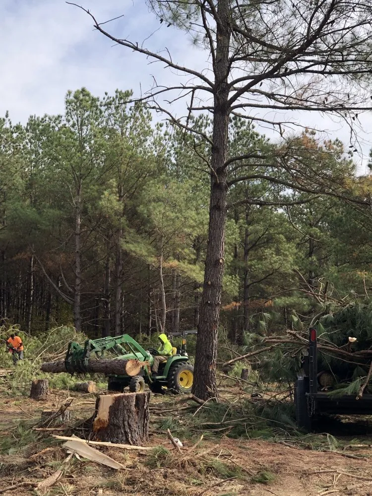 Custom landscape installation for year-round maintenance across Hope Mills, NC - Locklears lot Clearing