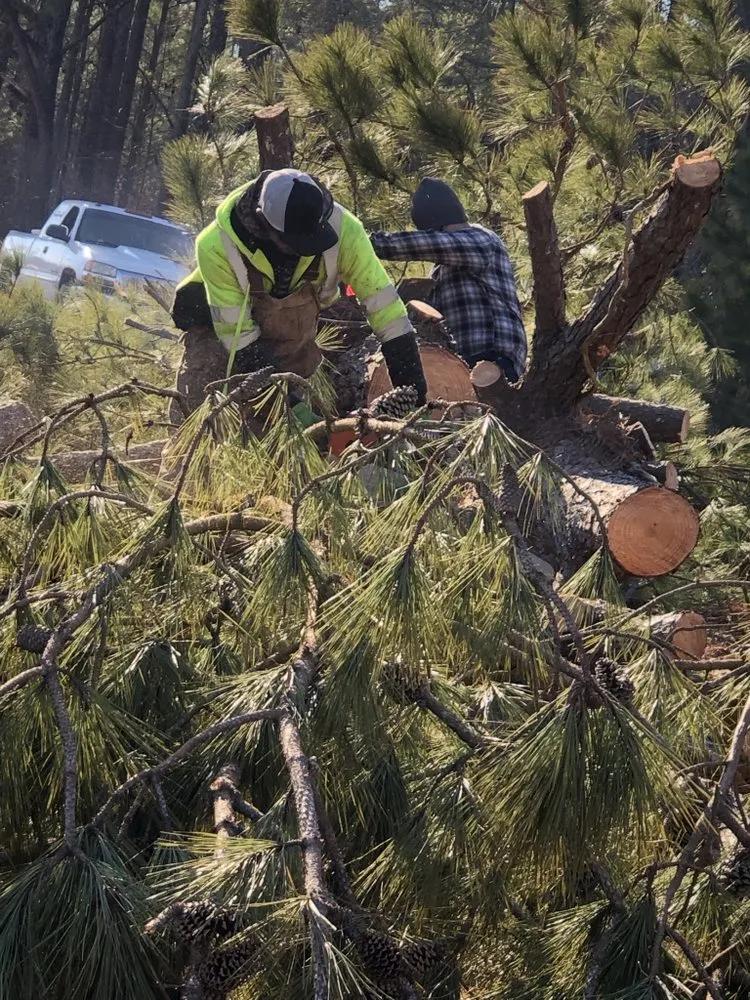 Reliable outdoor landscaping for homes in Hope Mills, NC by Locklears lot Clearing