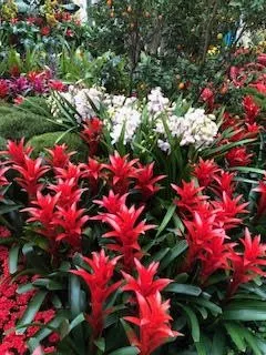 Local landscaping services experts serving Lakeside, CA - Locks Lawn Care and Landscaping