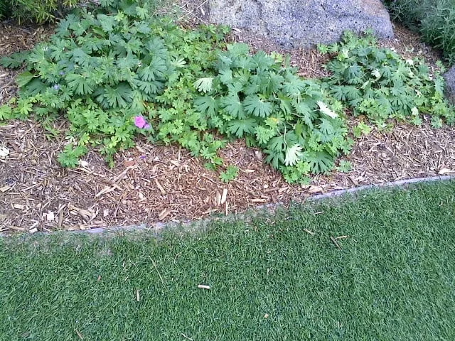 Affordable garden landscaping experts serving Lakeside, CA - Locks Lawn Care and Landscaping