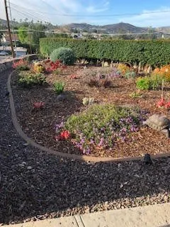 Professional residential landscaping for beautiful yards across Lakeside, CA - Locks Lawn Care and Landscaping