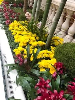 Expert lawn mowing service for residential properties in Lakeside, CA by Locks Lawn Care and Landscaping