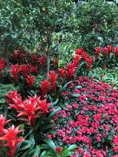 Expert lawn care service experts serving Lakeside, CA - Locks Lawn Care and Landscaping