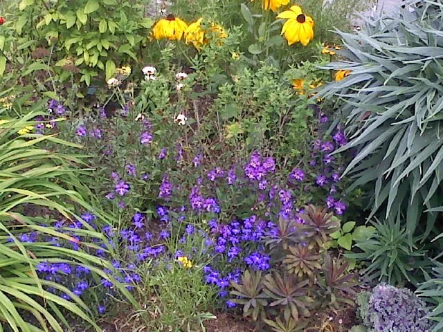 Top-rated garden landscaping in Lakeside, CA - Locks Lawn Care and Landscaping