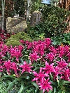 Local landscape design in Lakeside, CA by Locks Lawn Care and Landscaping