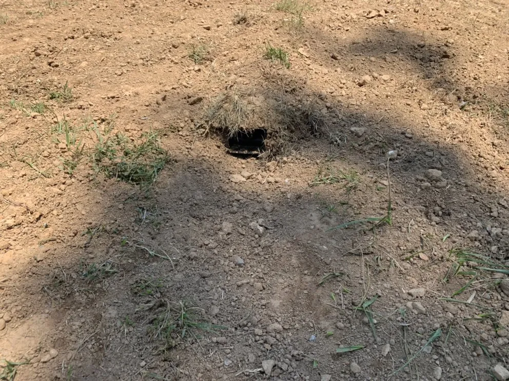 Top-rated landscaping services in Clarksville, TN by Lockwood Contracting