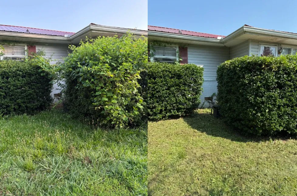 Expert lawn care service experts serving Silver Creek, GA - Lockwood Lawn Care