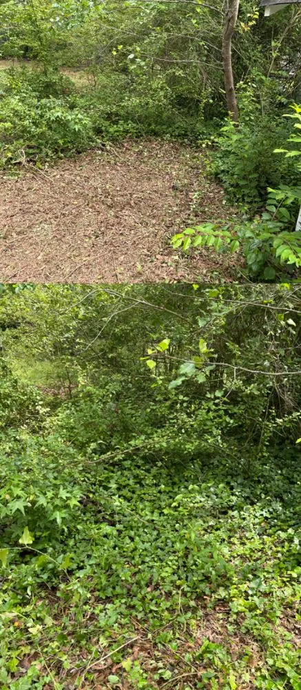 Affordable lawn care service in Silver Creek, GA - Lockwood Lawn Care