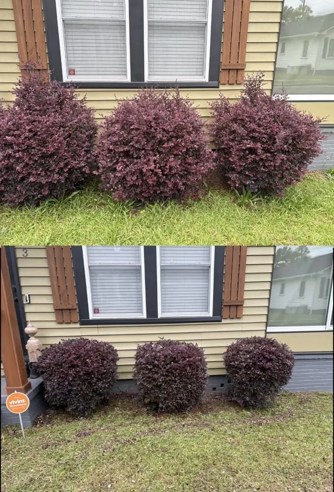 Expert landscape installation for residential properties in Silver Creek, GA by Lockwood Lawn Care