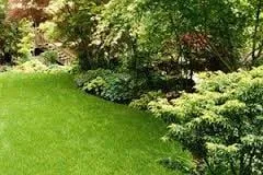 Local yard maintenance in Jacksonville, FL - Lockwood Lawn Maintenance