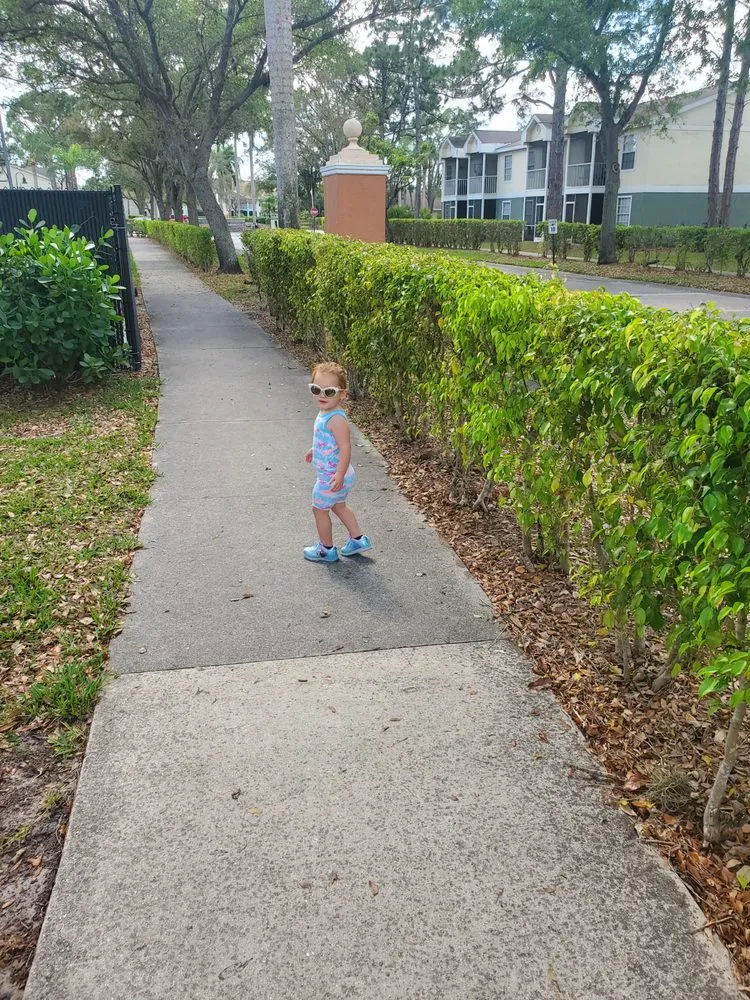 Professional residential landscaping in Naples, FL by Locomow Lawn Service