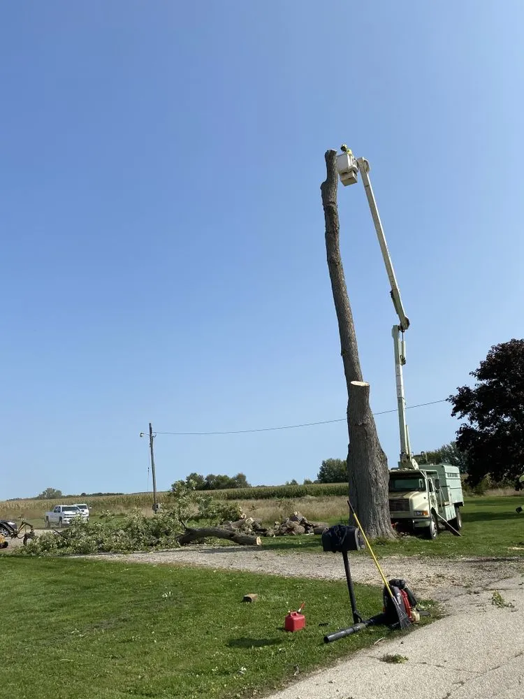 Local residential landscaping in Crystal Lake, IL by Locust Lawn and Tree Service