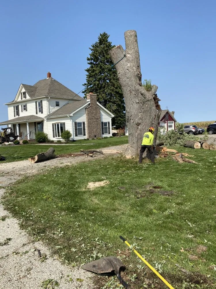 Affordable landscape design in Crystal Lake, IL - Locust Lawn and Tree Service