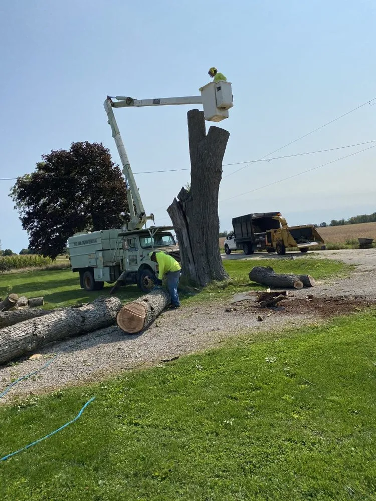 Top-rated landscaping services for year-round maintenance in Crystal Lake, IL by Locust Lawn and Tree Service