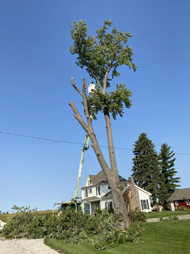 Affordable yard maintenance for homes across Crystal Lake, IL - Locust Lawn and Tree Service