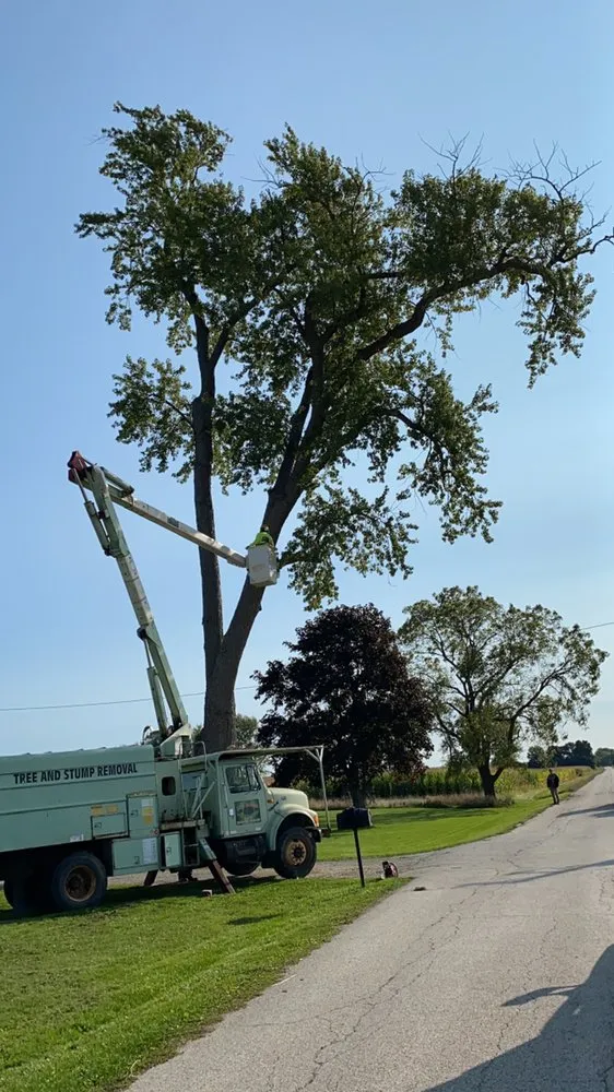 Trusted yard maintenance in Crystal Lake, IL - Locust Lawn and Tree Service