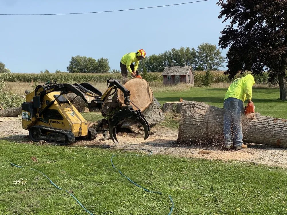 Top-rated landscaping services in Crystal Lake, IL by Locust Lawn and Tree Service