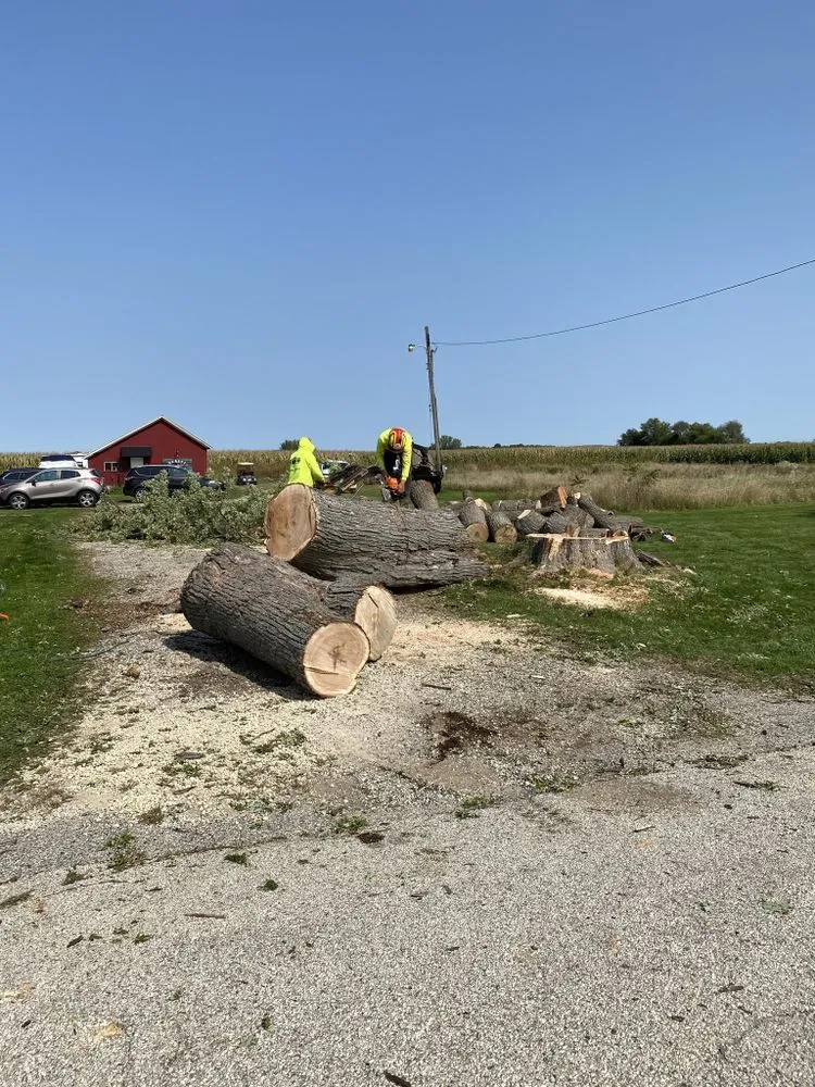 Affordable lawn mowing service experts serving Crystal Lake, IL - Locust Lawn and Tree Service