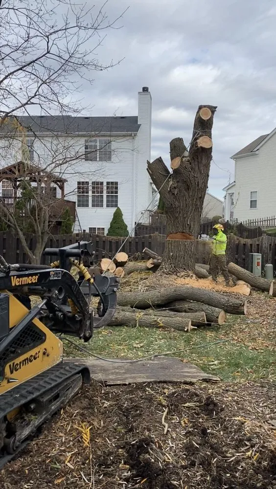 Reliable garden landscaping experts serving Crystal Lake, IL - Locust Lawn and Tree Service