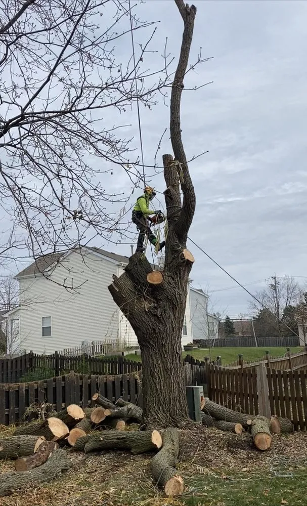 Local residential landscaping for residential properties in Crystal Lake, IL by Locust Lawn and Tree Service