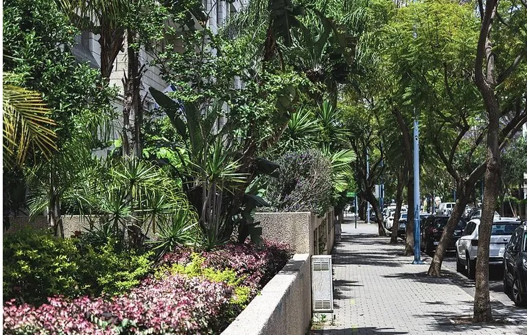 Top-rated lawn care service for year-round maintenance in Lakeside, CA by Locusts Weed Abatement