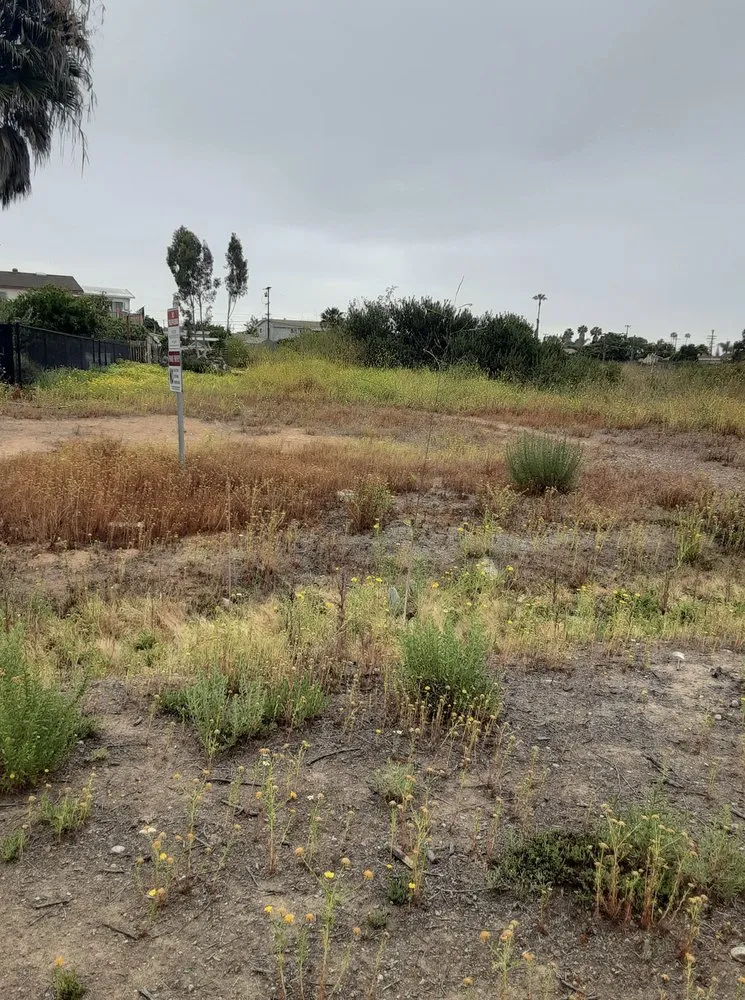 Custom yard maintenance in Lakeside, CA by Locusts Weed Abatement