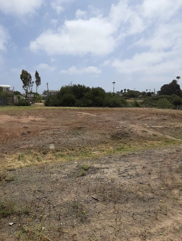 Local landscaping services experts serving Lakeside, CA - Locusts Weed Abatement