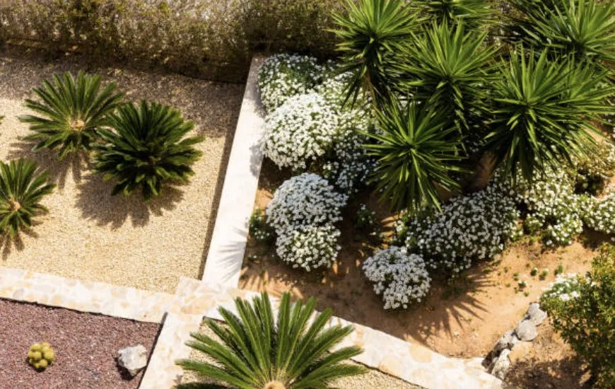 Expert landscape design experts serving Lakeside, CA - Locusts Weed Abatement