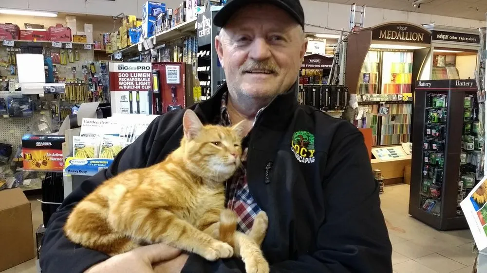 Top-rated landscape design near you in Canton, NY by Locy's Landscaping