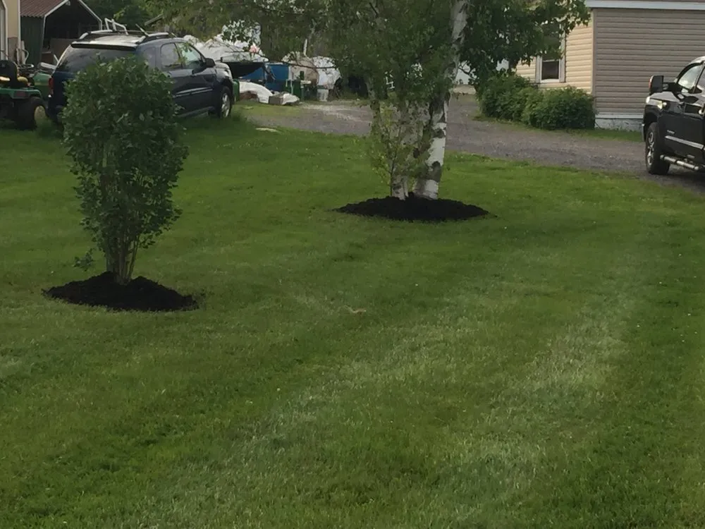 Affordable lawn mowing service for residential properties in Canton, NY by Locy's Landscaping