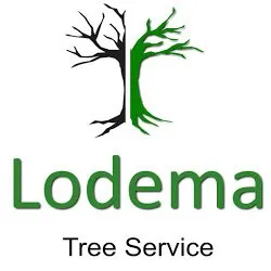Trusted outdoor landscaping in Sussex, NJ by Lodema Tree Service
