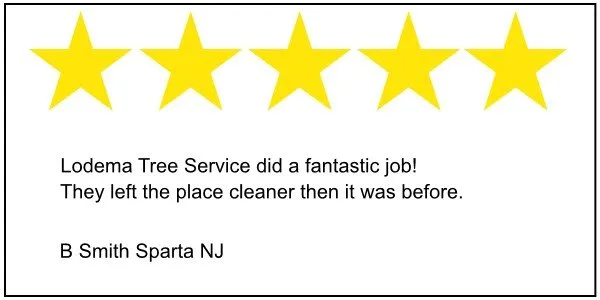 Local yard maintenance near you in Sussex, NJ by Lodema Tree Service