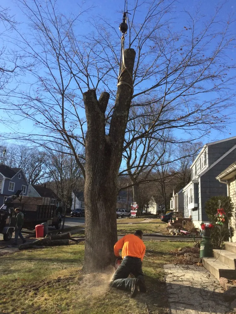 Expert garden landscaping in Sussex, NJ - Lodema Tree Service