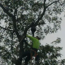 Custom yard maintenance in Sussex, NJ by Lodema Tree Service