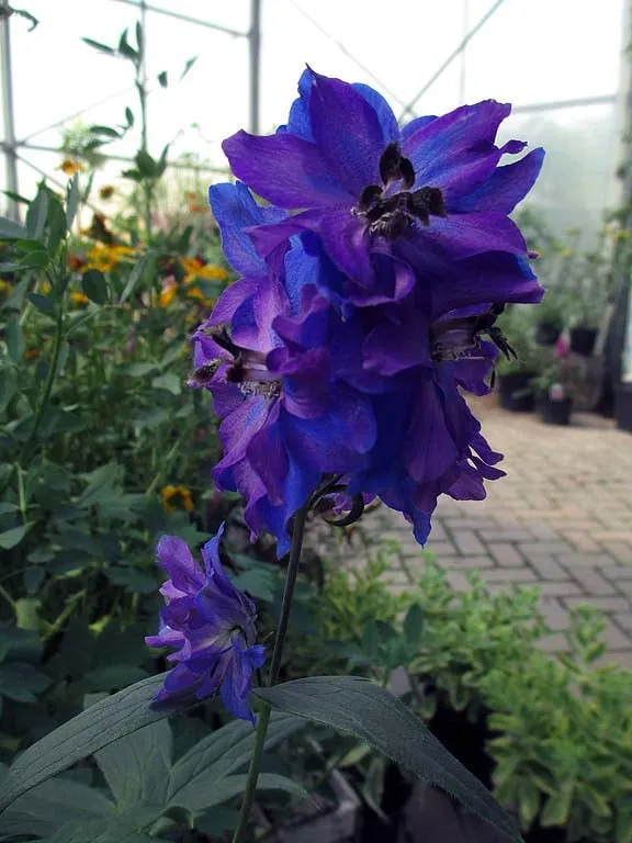 Trusted residential landscaping in Ann Arbor, MI - Lodi Farms