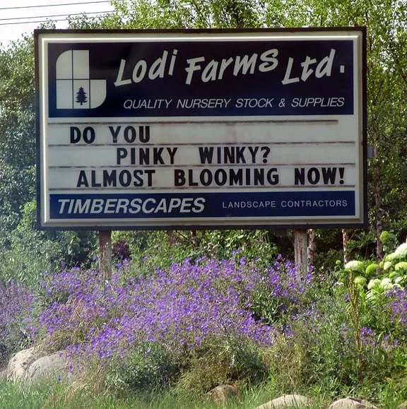 Local yard cleanup service in Ann Arbor, MI - Lodi Farms