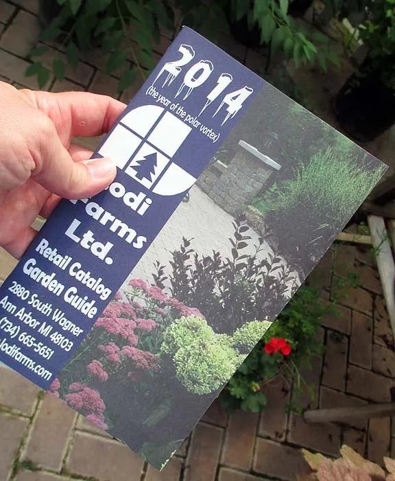 Professional yard cleanup service for outdoor upgrades in Ann Arbor, MI by Lodi Farms