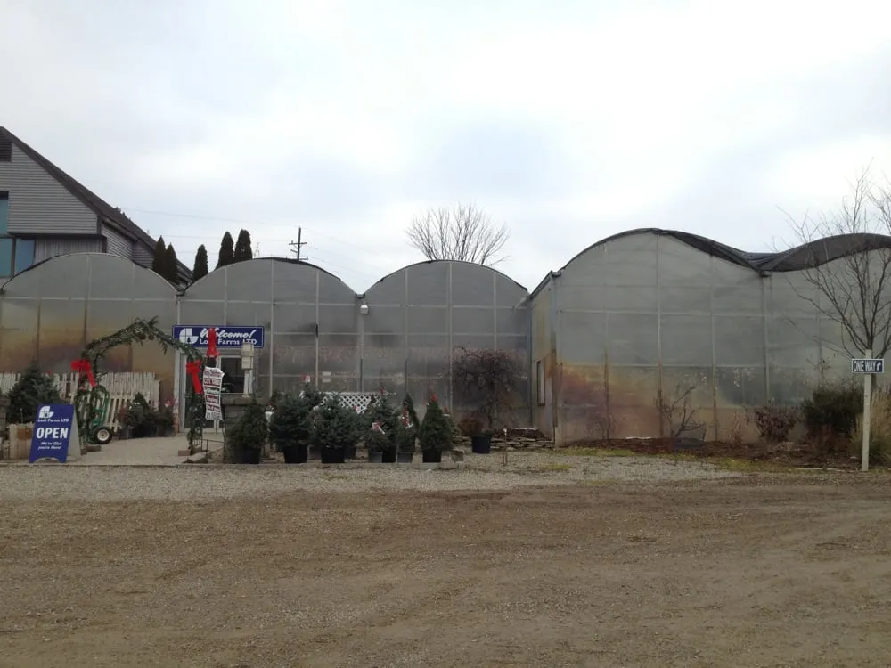 Expert outdoor landscaping experts serving Ann Arbor, MI - Lodi Farms