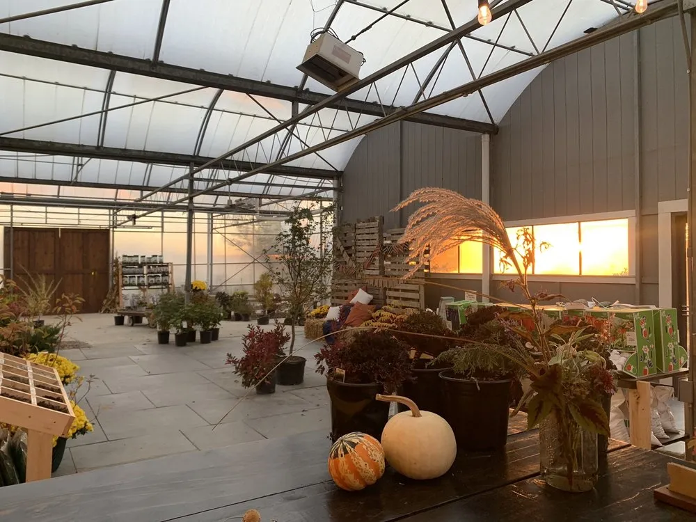 Affordable lawn mowing service experts serving Ann Arbor, MI - Lodi Farms