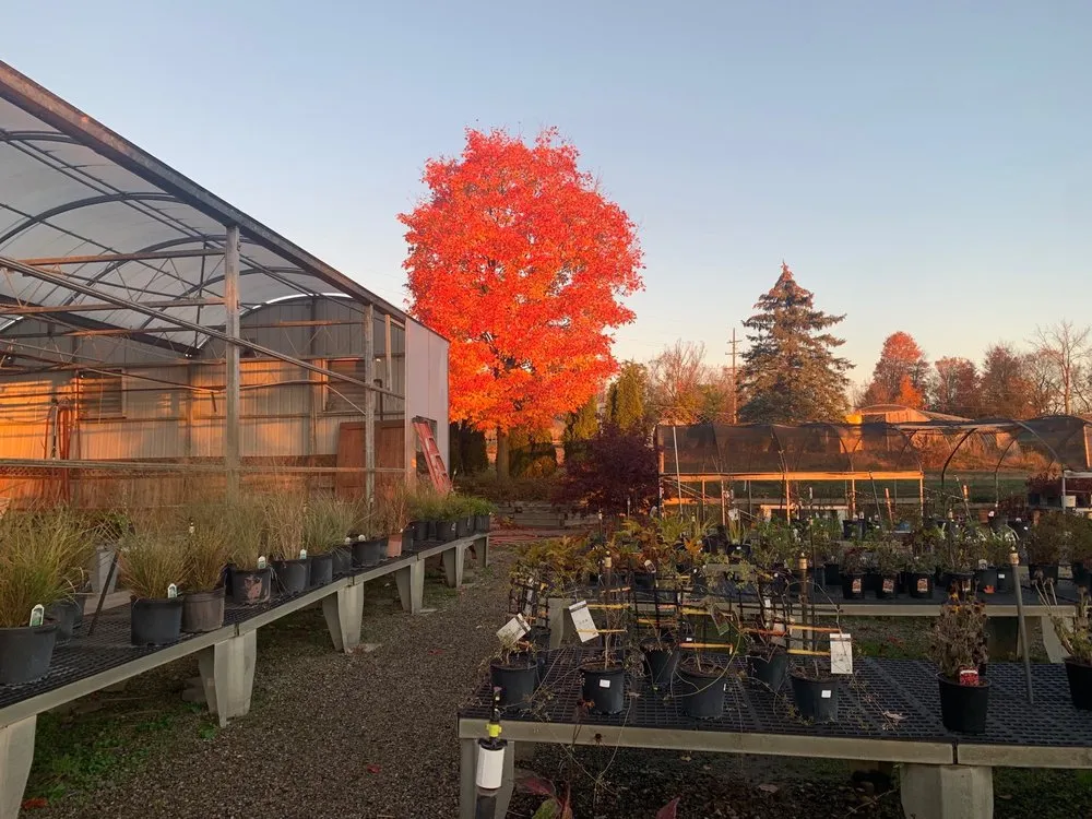 Trusted yard cleanup service for outdoor upgrades in Ann Arbor, MI by Lodi Farms