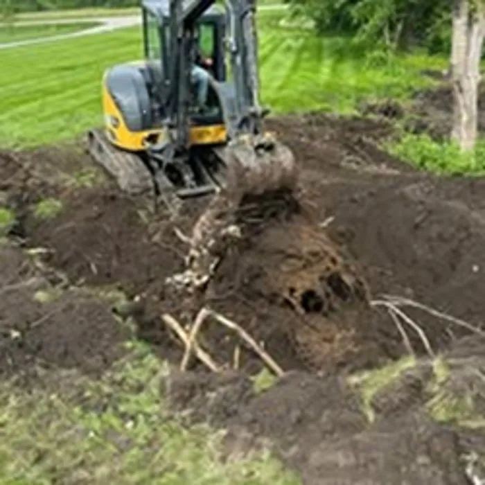 Reliable yard maintenance for homes in Maryville, MO by Loe Lawn & Landscape