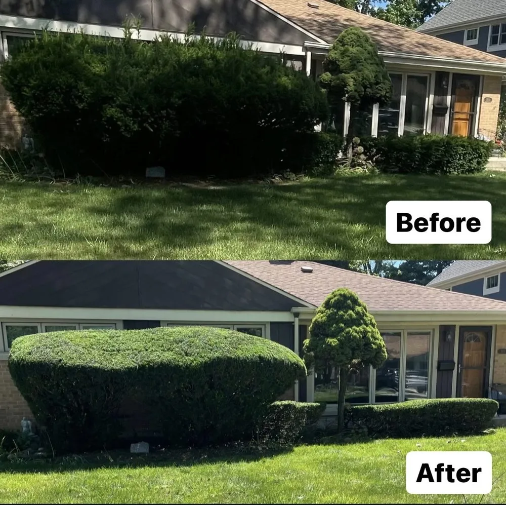 Affordable landscape installation in Chicago, IL by Loera Landscaping