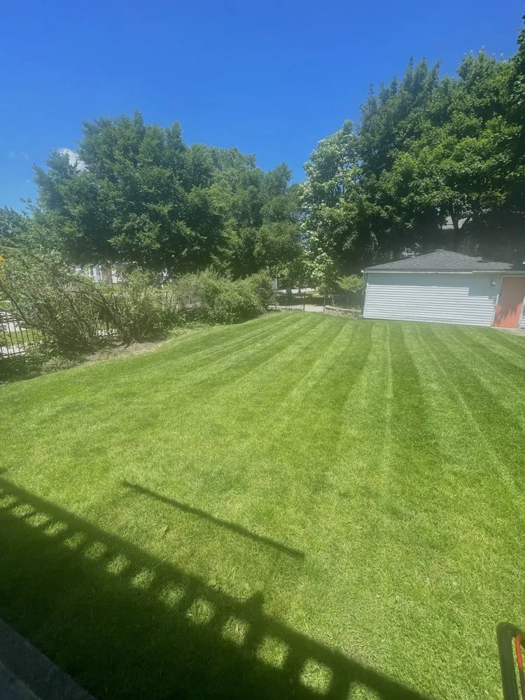 Expert lawn care service in Chicago, IL by Loera Landscaping